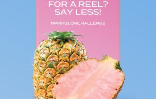 Del Monte Arabia - Pinkglow Challenge - Terms & Conditions